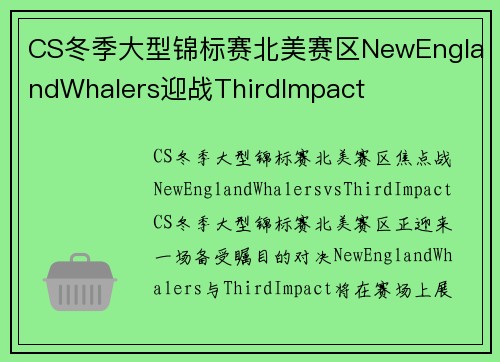 CS冬季大型锦标赛北美赛区NewEnglandWhalers迎战ThirdImpact
