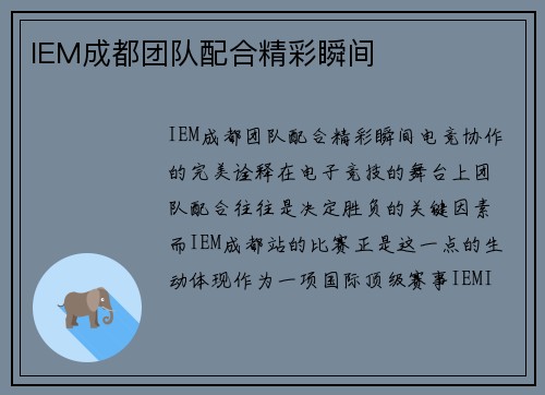 IEM成都团队配合精彩瞬间